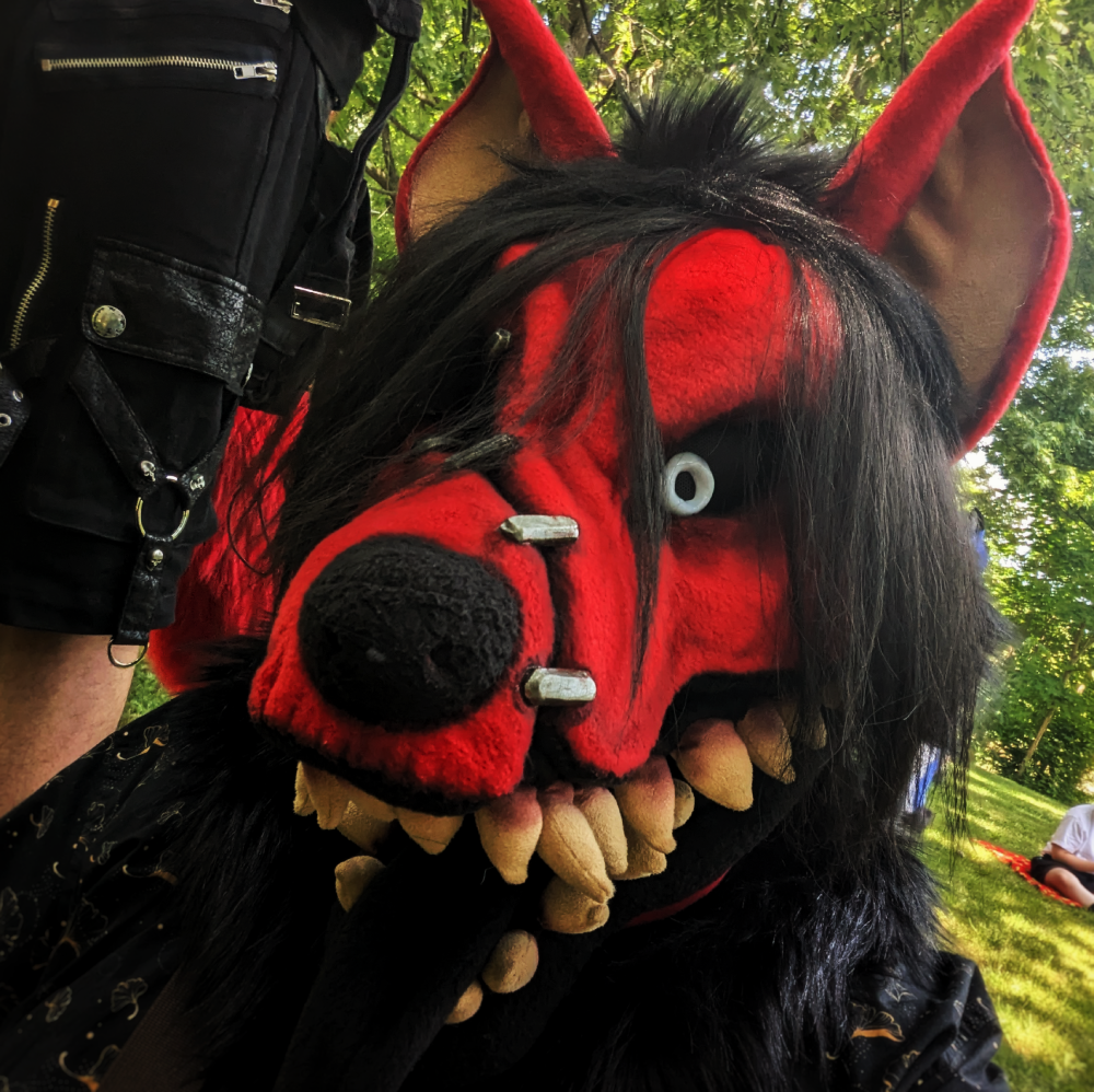 Blog Furmeet
